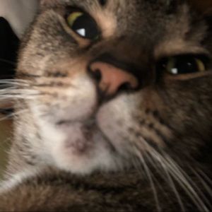 Meet your Posher, Emmalyn